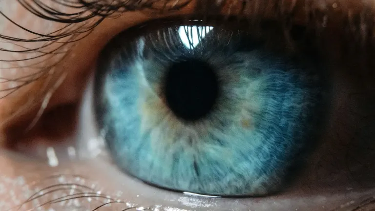World, Proof-of-Human Teknolojisini Zoom, Tinder ve Yapay Zekaya Genişletiyor