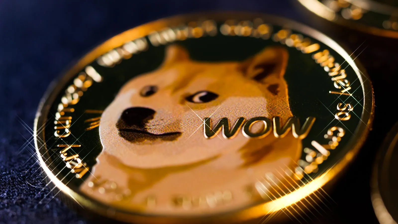 Bitwise Dogecoin ETF'si Likidasyona Gidiyor: CEO Sonucu 'Trajik' Olarak Niteledi