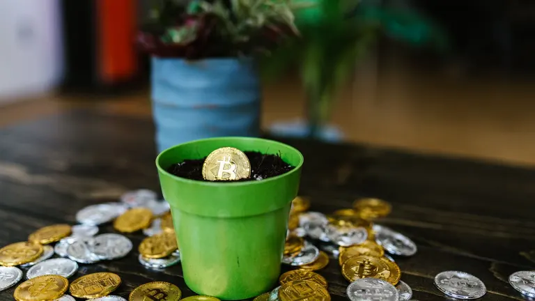 Bitwise Yöneticisi Ryan Rasmussen: Bitcoin 2030’a Kadar 1 Milyon Doları Aşabilir