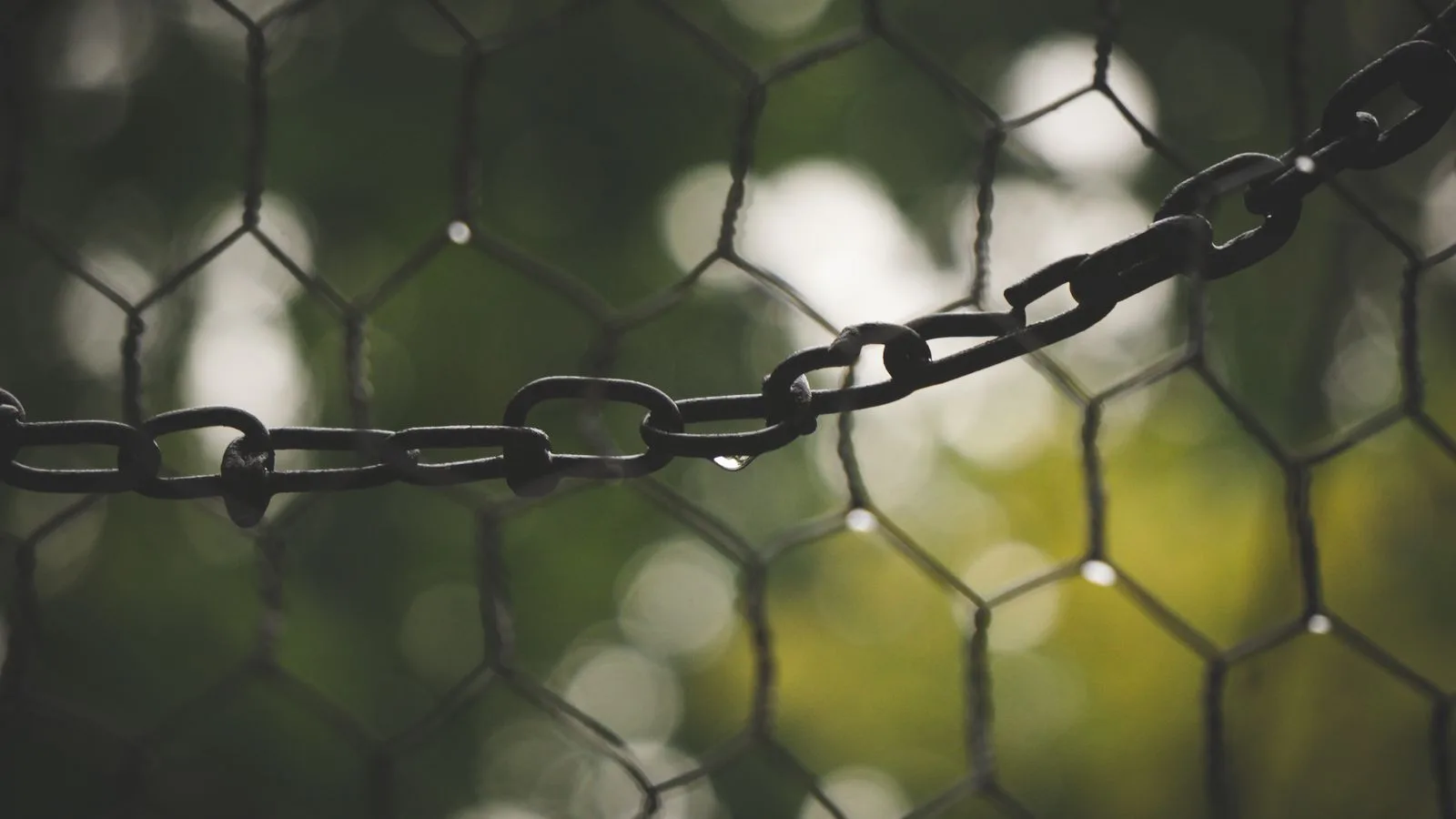 Chainlink, 1,13 Milyon Dolarlık LINK Geri Alımı Gerçekleştirdi