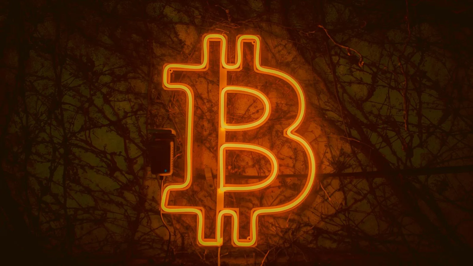 Tesla, İkinci Çeyrekte Bitcoin Varlıklarını Korudu: Değeri 825 Milyon Dolar