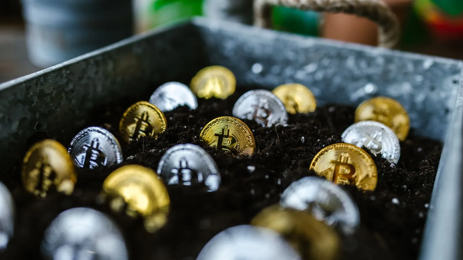 Bitcoin Spot ETF'lerinden 265,4 Milyon Dolarlık Çıkış; Ether ve XRP Fonları Giriş Aldı
